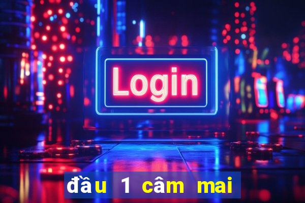 đầu 1 câm mai đánh con gì