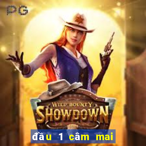 đầu 1 câm mai đánh con gì