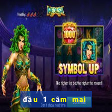 đầu 1 câm mai đánh con gì