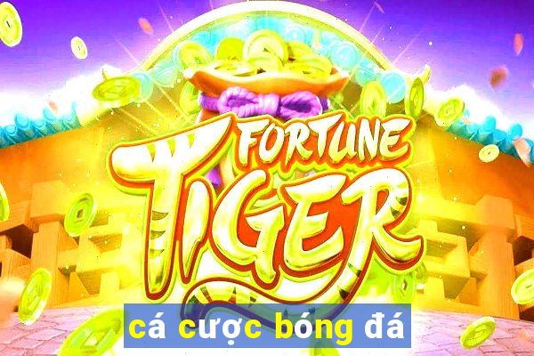 cá cược bóng đá