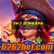 chổi tiếng anh