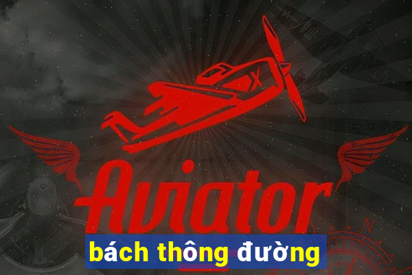 bách thông đường