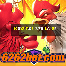 kèo tài 1.75 là gì