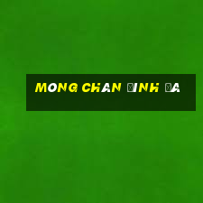 móng chân đính đá