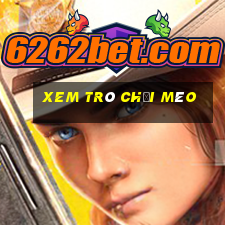 xem trò chơi mèo