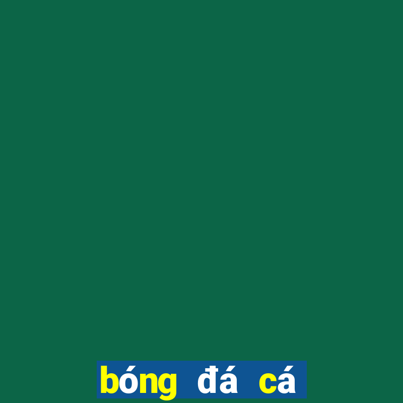 bóng đá cá cược hôm nay