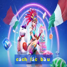 cách lắc bầu cua bịp