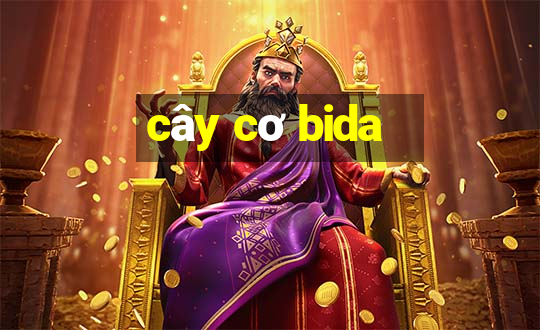 cây cơ bida