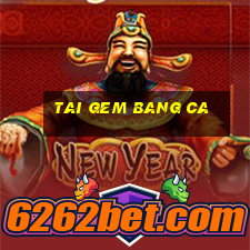 tai gem bang ca