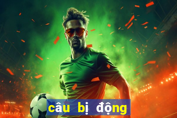 câu bị động đặc biệt