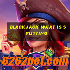 blackjack what is splitting