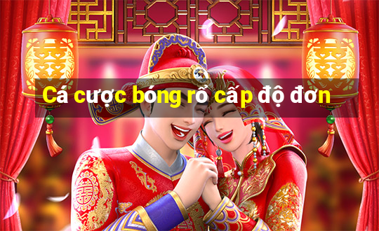 Cá cược bóng rổ cấp độ đơn