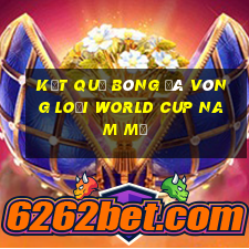 kết quả bóng đá vòng loại world cup nam mỹ