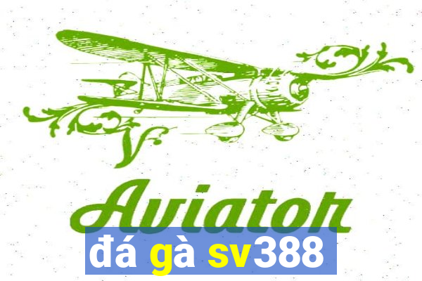 đá gà sv388