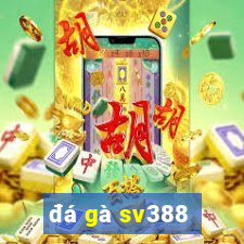 đá gà sv388