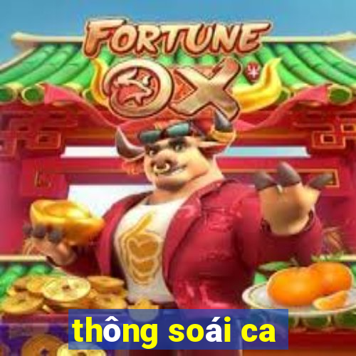 thông soái ca