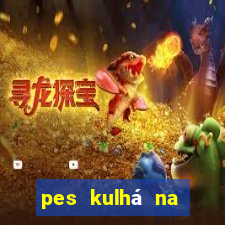 pes kulhá na přední nohu