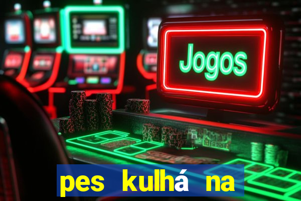 pes kulhá na přední nohu