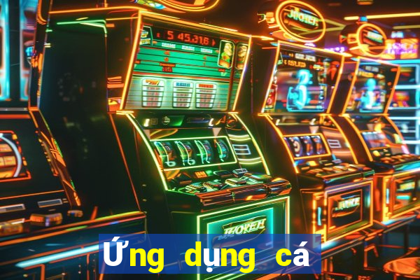 Ứng dụng cá cược bóng rổ