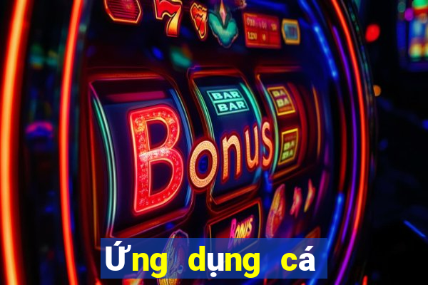 Ứng dụng cá cược bóng rổ