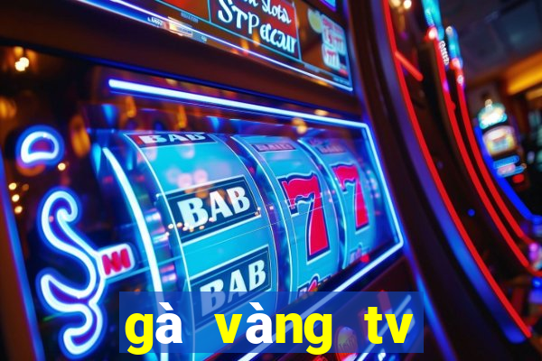 gà vàng tv trực tiếp bóng đá hôm nay