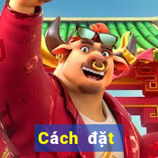 Cách đặt cược XSAG ngày 8