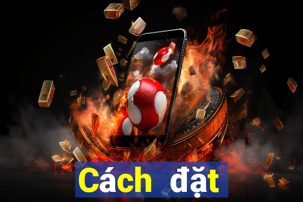 Cách đặt cược XSST ngày 19