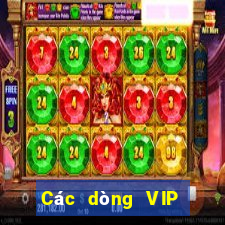 Các dòng VIP hàng đầu