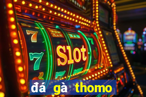 đá gà thomo ngày 15 tháng 05