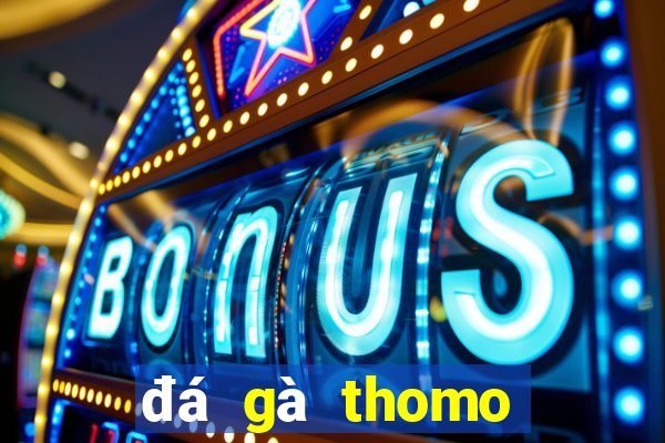 đá gà thomo ngày 15 tháng 05