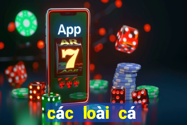 các loài cá nước ngọt