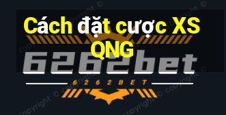 Cách đặt cược XSQNG