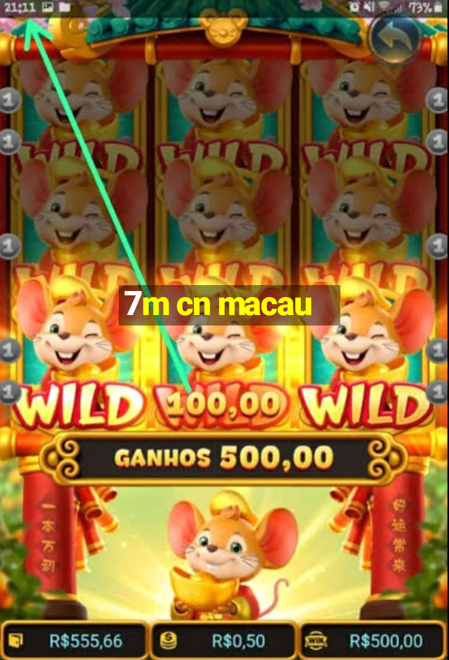 7m cn macau