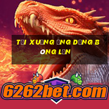 Tải xuống ứng dụng bóng lăn