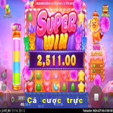 Cá cược trực tuyến V6bet