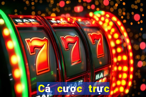 Cá cược trực tuyến V6bet