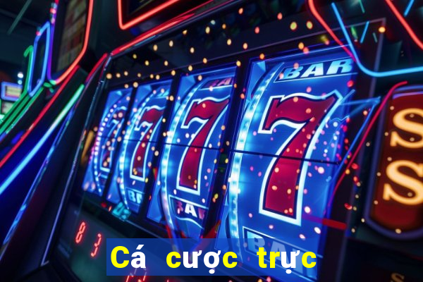 Cá cược trực tuyến V6bet