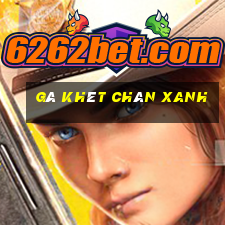 gà khét chân xanh