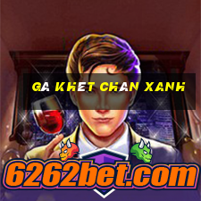 gà khét chân xanh