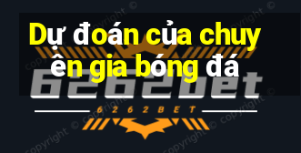 Dự đoán của chuyên gia bóng đá