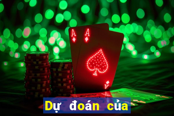 Dự đoán của chuyên gia bóng đá