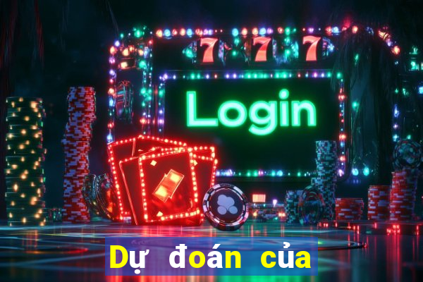 Dự đoán của chuyên gia bóng đá