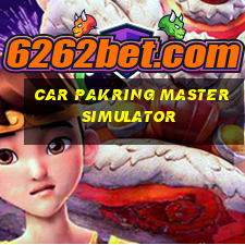 car pakring master simulator