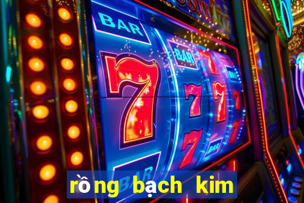 rong bach kim 666 hom nay