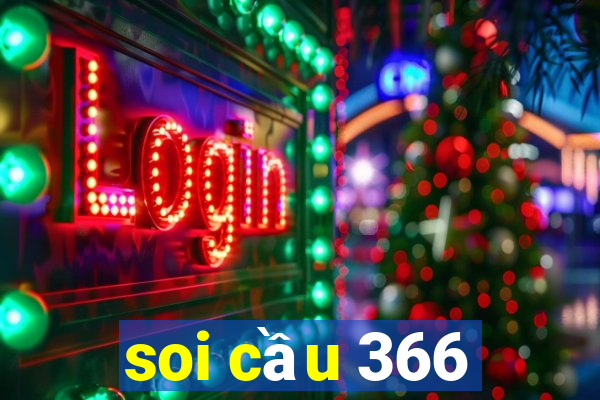 soi cau 366