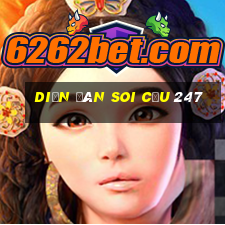 diễn đàn soi cầu 247