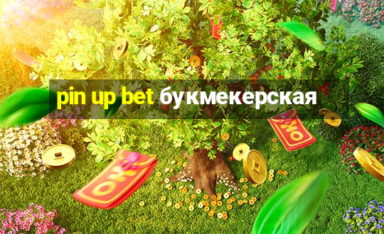 pin up bet букмекерская