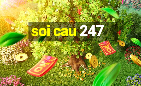 soi cau 247