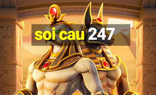 soi cau 247