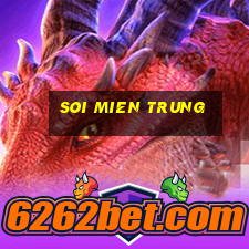 soi mien trung